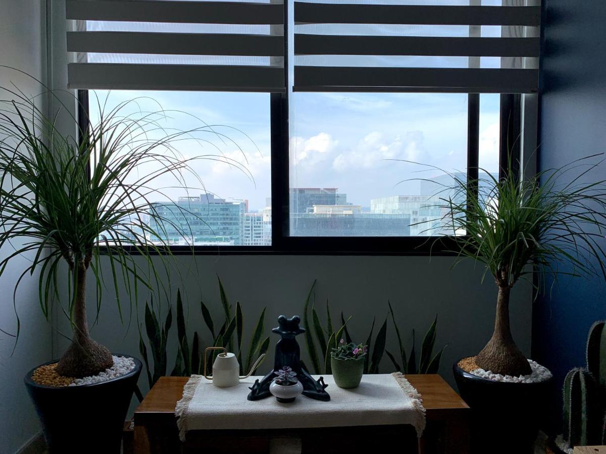 מקסיקו סיטי Blue Horse Apartment In New Polanco. מראה חיצוני תמונה