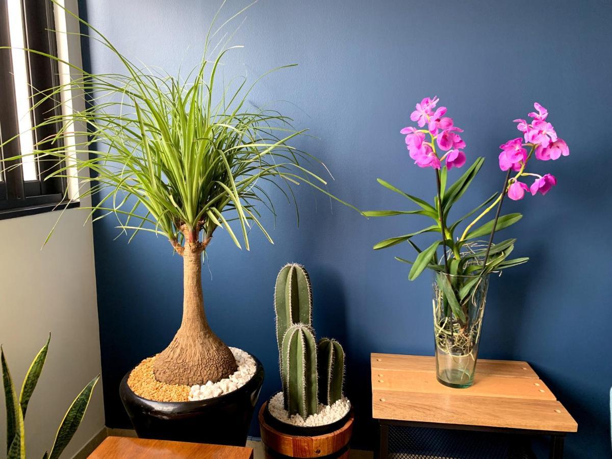 מקסיקו סיטי Blue Horse Apartment In New Polanco. מראה חיצוני תמונה